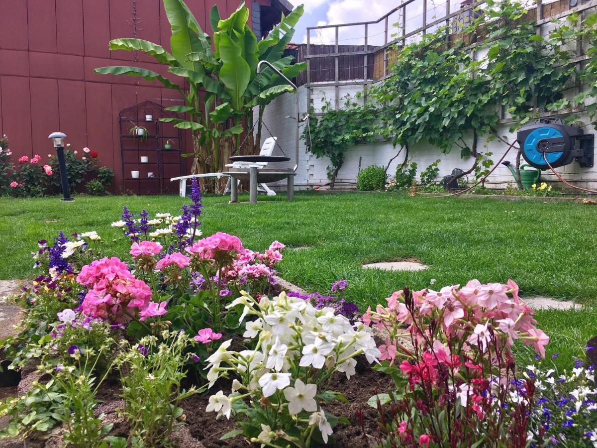 Ferienwohnung Apartment Dettum Mit Eigenem Bad, Kochnische Und Wintergarten ภายนอก รูปภาพ